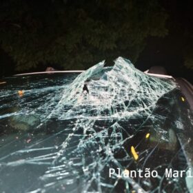 Fotos de Motorista sofre ferimentos graves após bater carro contra árvore em Maringá