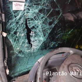 Fotos de Motorista sofre ferimentos graves após bater carro contra árvore em Maringá