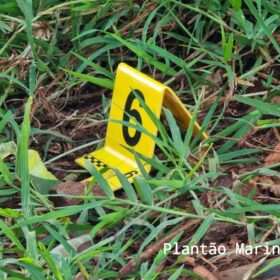 Fotos de Pistola utilizada para matar mulher na frente da filha de 6 anos em Sarandi é apreendida pela PC