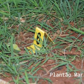 Fotos de Pistola utilizada para matar mulher na frente da filha de 6 anos em Sarandi é apreendida pela PC