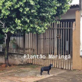 Fotos de Polícia Civil e Instituto de Criminalística fazem reconstituição do homicídio da jovem morta por causa de som alto em Sarandi 