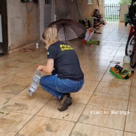 Fotos de Polícia procura por homem que atirou contra cabeça da vizinha após briga por som alto em Sarandi