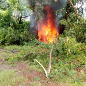 Fotos de Policiais Militares morrem após viatura bater em árvore e pegar fogo na região