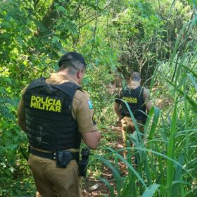 Fotos de Corpo em avançado estado decomposição é encontrado em um córrego em Maringá