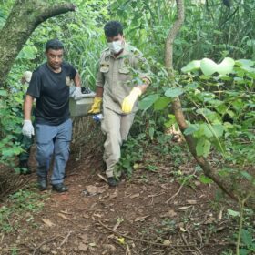 Fotos de Corpo em avançado estado decomposição é encontrado em um córrego em Maringá