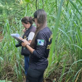 Fotos de Corpo em avançado estado decomposição é encontrado em um córrego em Maringá