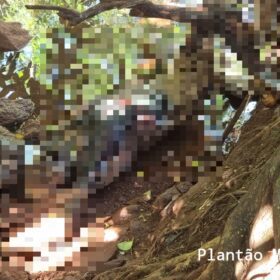 Fotos de Corpo em avançado estado decomposição é encontrado em um córrego em Maringá