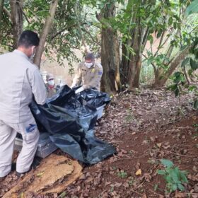 Fotos de Corpo em avançado estado decomposição é encontrado em um córrego em Maringá