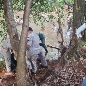 Fotos de Corpo em avançado estado decomposição é encontrado em um córrego em Maringá