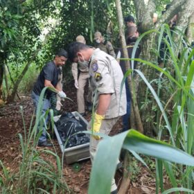 Fotos de Corpo em avançado estado decomposição é encontrado em um córrego em Maringá