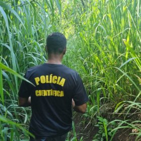 Fotos de Corpo em avançado estado decomposição é encontrado em um córrego em Maringá