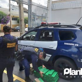 Fotos de Guarda Civil Municipal de Sarandi apreende 115 quilos de maconha