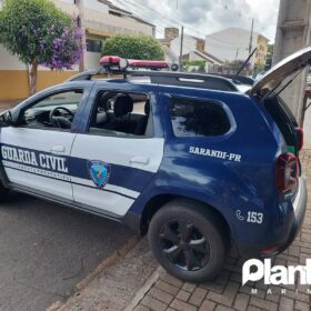Fotos de Guarda Civil Municipal de Sarandi apreende 115 quilos de maconha