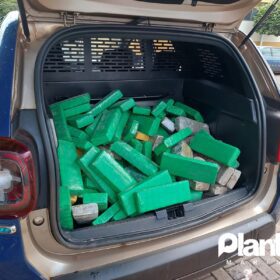Fotos de Guarda Civil Municipal de Sarandi apreende 115 quilos de maconha