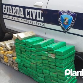 Fotos de Guarda Civil Municipal de Sarandi apreende 115 quilos de maconha