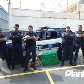 Fotos de Guarda Civil Municipal de Sarandi apreende 115 quilos de maconha