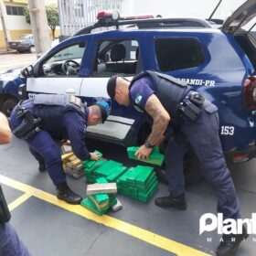Fotos de Guarda Civil Municipal de Sarandi apreende 115 quilos de maconha