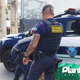 Fotos de Guarda Civil Municipal de Sarandi apreende 115 quilos de maconha