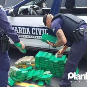 Fotos de Guarda Civil Municipal de Sarandi apreende 115 quilos de maconha