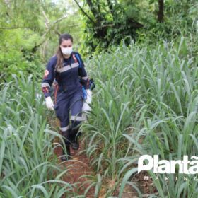 Fotos de Jovem de 19 anos morre afogado no dia do aniversário da irmã em Maringá 