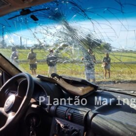 Fotos de Motorista suspeito de estar embriagado invade pista contrária, causa acidente e fere casal em Maringá 