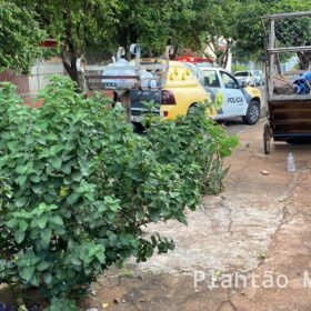 Fotos de Mulher fica ferida após atentado a tiros em Marialva 