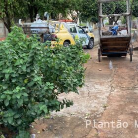 Fotos de Mulher fica ferida após atentado a tiros em Marialva 