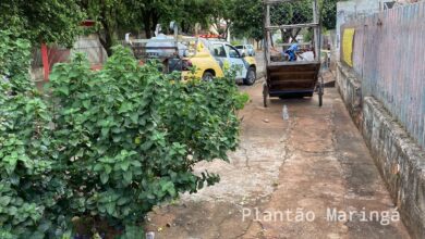 Fotos de Mulher fica ferida após atentado a tiros em Marialva 