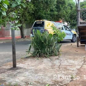 Fotos de Mulher fica ferida após atentado a tiros em Marialva 