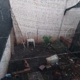 Fotos de Polícia descobre estufa com plantação de maconha em Sarandi
