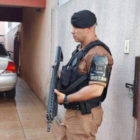 Fotos de Polícia descobre estufa com plantação de maconha em Sarandi