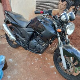 Fotos de Polícia descobre estufa com plantação de maconha em Sarandi