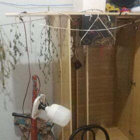 Fotos de Polícia descobre estufa com plantação de maconha em Sarandi