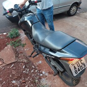 Fotos de Polícia descobre estufa com plantação de maconha em Sarandi