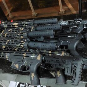 Fotos de Polícia Militar do Paraná realiza apreensão histórica de fuzis e pistolas