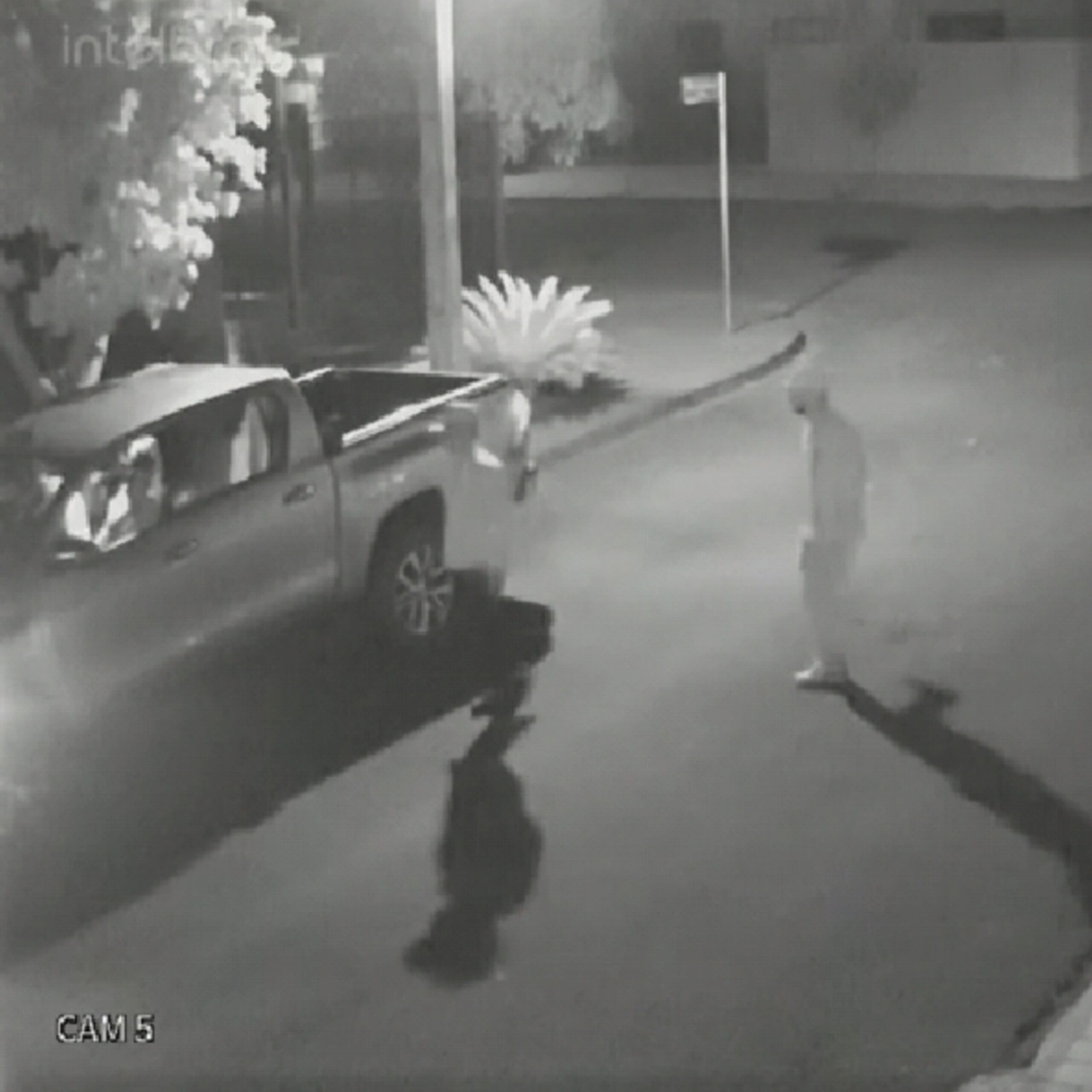 Fotos de Vídeo mostra bandidos rendendo motorista e roubando camionete luxo 