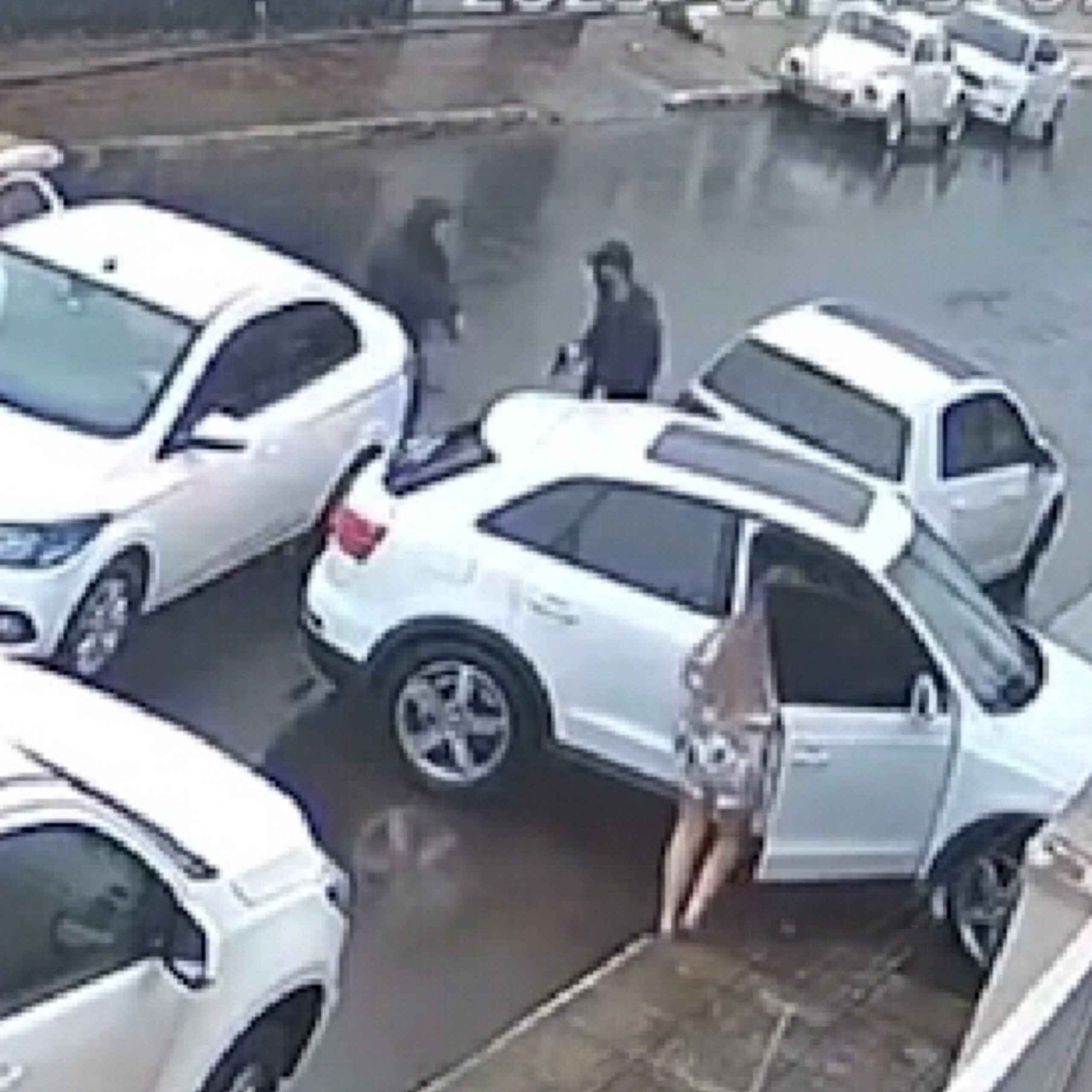 Fotos de Vídeo mostra paranaense sendo executado a tiros em carro de luxo em Balneário Camboriú