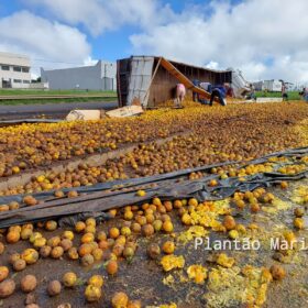 Fotos de Carreta carregada com laranja tomba no Contorno Norte em Maringá e carga é saqueada
