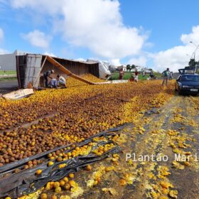 Fotos de Carreta carregada com laranja tomba no Contorno Norte em Maringá e carga é saqueada