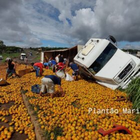 Fotos de Carreta carregada com laranja tomba no Contorno Norte em Maringá e carga é saqueada