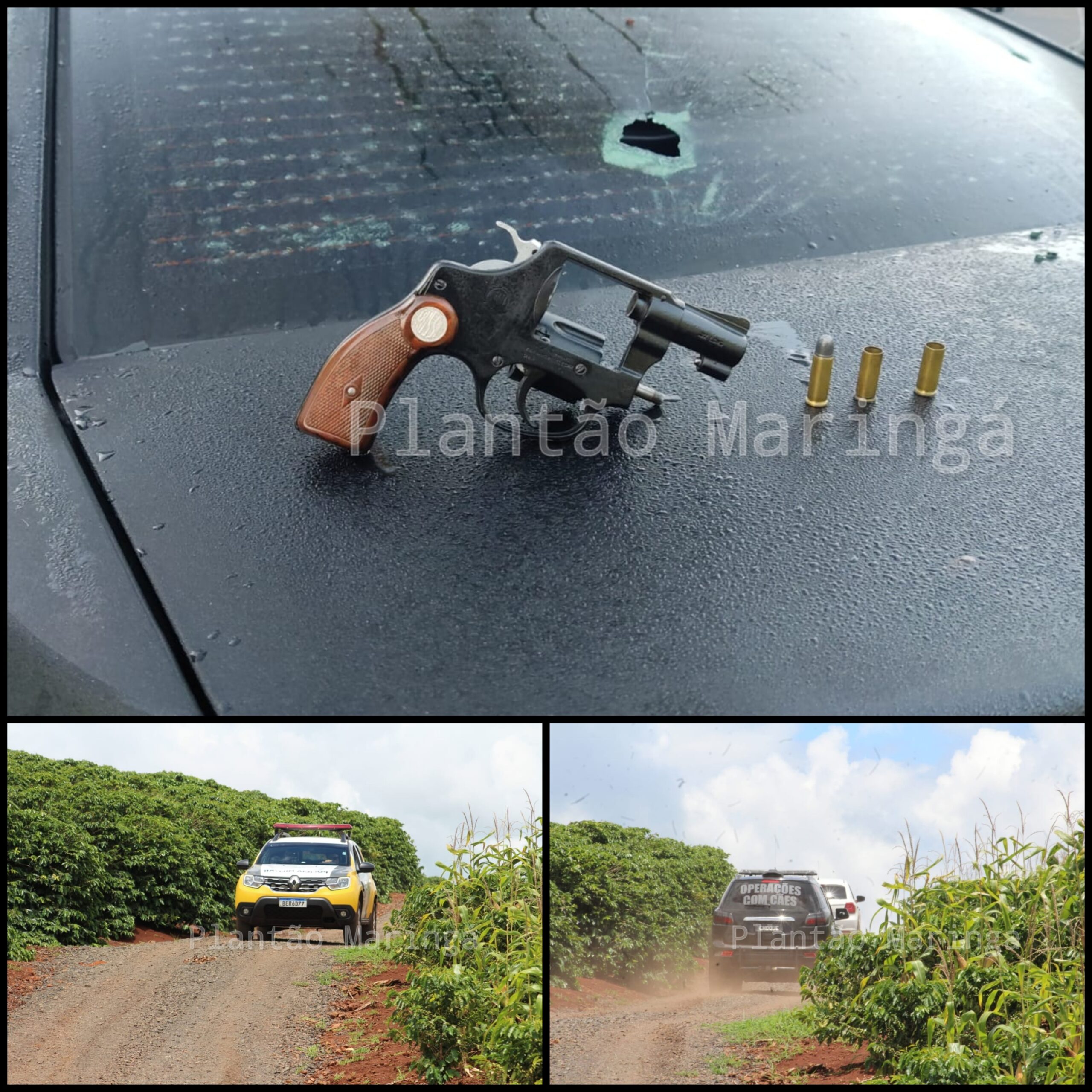 Fotos de Troca de tiros com a Polícia Militar de Maringá, termina com um assaltante baleado em Mandaguari