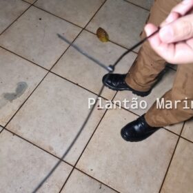 Fotos de Casal de idosos é agredido e amarrado durante assalto em Maringá