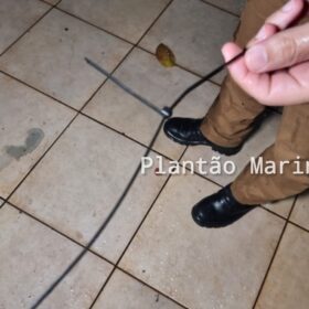 Fotos de Casal de idosos é agredido e amarrado durante assalto em Maringá