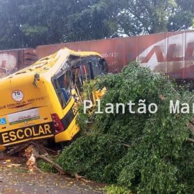 Fotos de Duas pessoas morreram e seis foram intubadas após colisão entre trem e ônibus em Jandaia do Sul