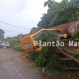 Fotos de Duas pessoas morreram e seis foram intubadas após colisão entre trem e ônibus em Jandaia do Sul