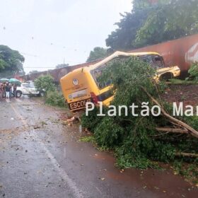 Fotos de Duas pessoas morreram e seis foram intubadas após colisão entre trem e ônibus em Jandaia do Sul