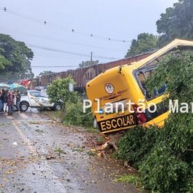 Fotos de Duas pessoas morreram e seis foram intubadas após colisão entre trem e ônibus em Jandaia do Sul