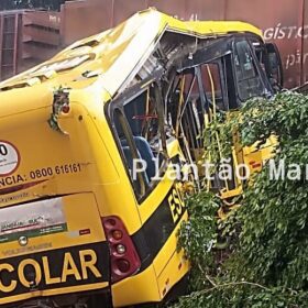 Fotos de Duas pessoas morreram e seis foram intubadas após colisão entre trem e ônibus em Jandaia do Sul