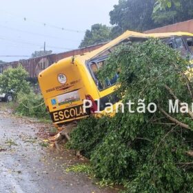 Fotos de Duas pessoas morreram e seis foram intubadas após colisão entre trem e ônibus em Jandaia do Sul