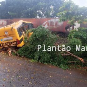 Fotos de Duas pessoas morreram e seis foram intubadas após colisão entre trem e ônibus em Jandaia do Sul